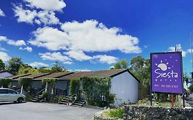 Siesta Motel
